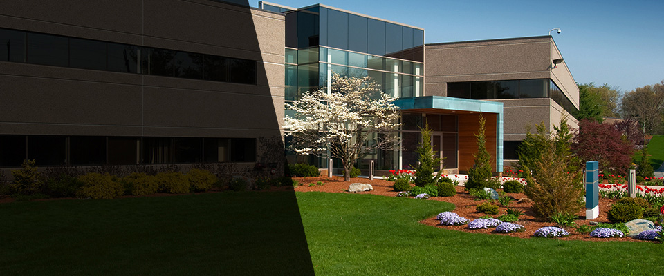 Washington Grove Landscapers