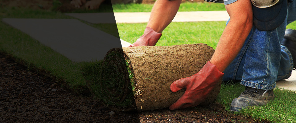 Washington Grove Landscapers